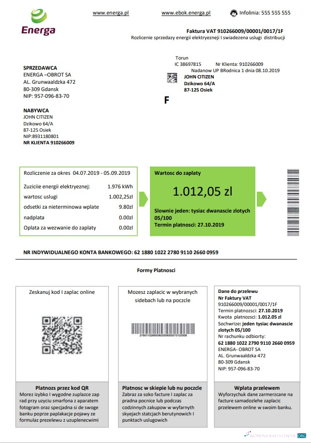 download download Poland Energa utility bill template in Word and PDF format PDF template PDF template